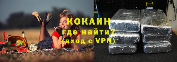 индика Володарск