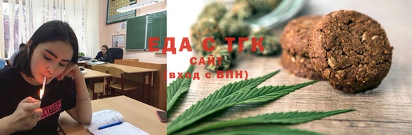 индика Володарск