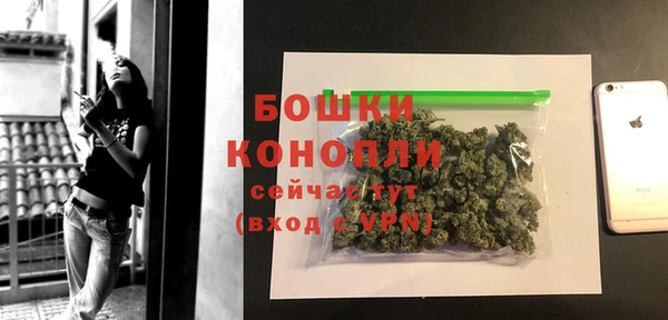 индика Володарск