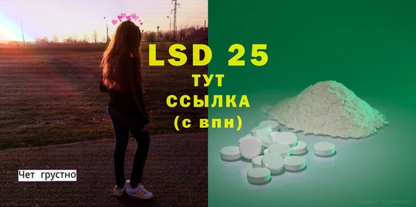 PSILOCYBIN Сясьстрой
