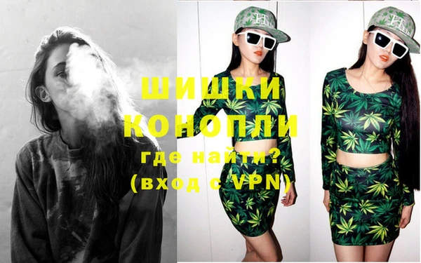 индика Володарск