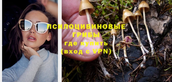 герыч Вяземский