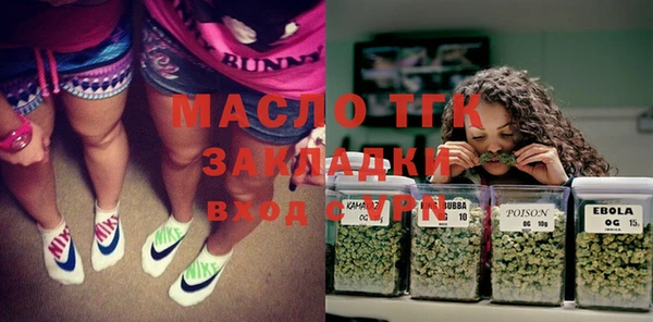 индика Володарск