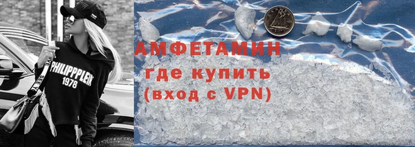 индика Володарск